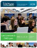 Licence gestion Lyon