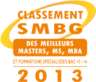 SMBG MASTER 2013