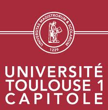 Toulouse 1 Capitole